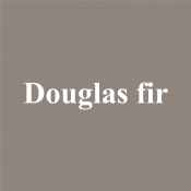 douglas fir